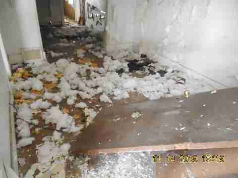 14179 Fielding (19)_m.jpg